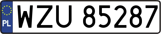 WZU85287