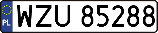 WZU85288