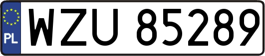 WZU85289