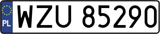 WZU85290