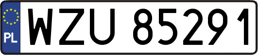 WZU85291