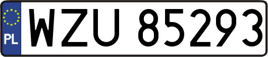 WZU85293