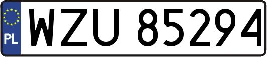 WZU85294