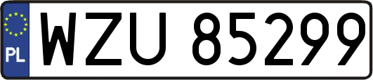 WZU85299