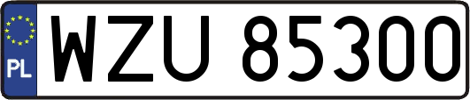 WZU85300