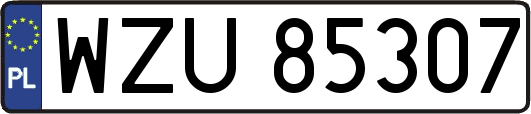WZU85307