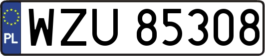 WZU85308