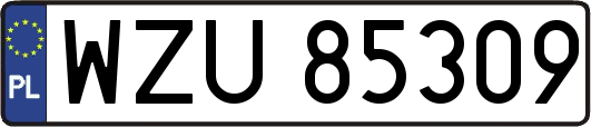 WZU85309