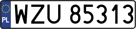 WZU85313