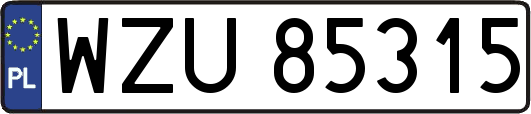 WZU85315