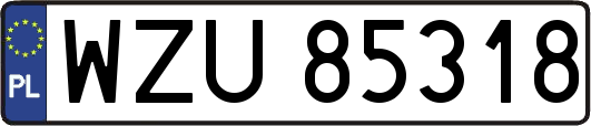 WZU85318