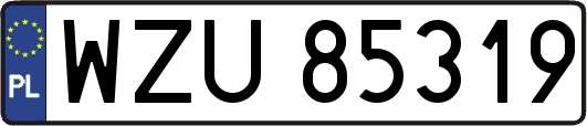 WZU85319