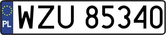 WZU85340