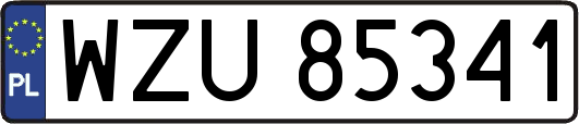 WZU85341