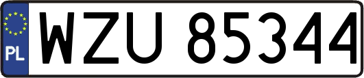 WZU85344
