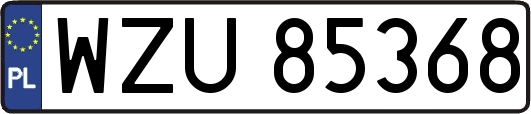 WZU85368