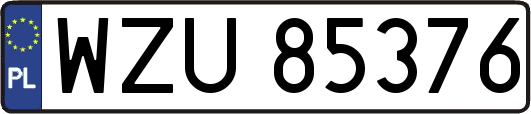 WZU85376