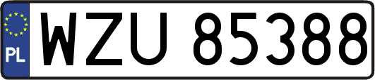 WZU85388
