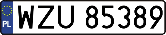 WZU85389
