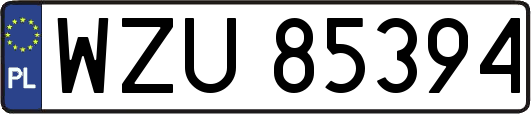 WZU85394