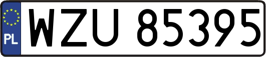 WZU85395