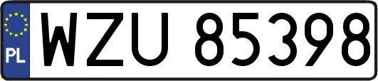 WZU85398