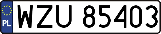 WZU85403