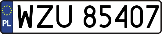 WZU85407