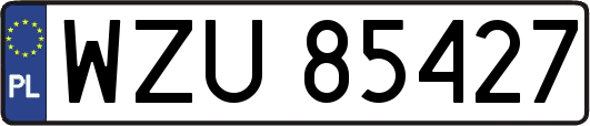 WZU85427