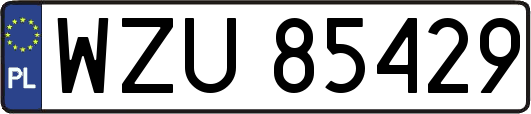 WZU85429