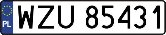 WZU85431