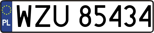 WZU85434