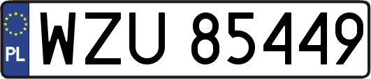 WZU85449