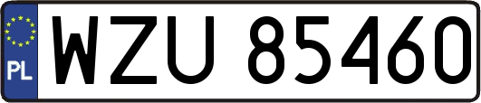 WZU85460