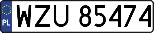 WZU85474