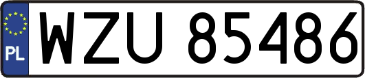 WZU85486