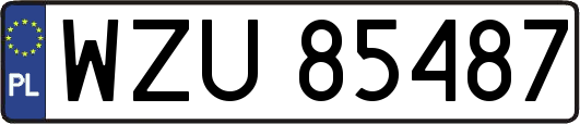 WZU85487