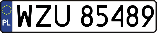 WZU85489