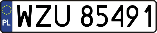 WZU85491
