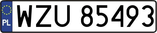 WZU85493