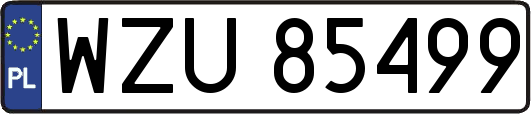 WZU85499