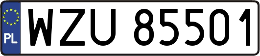 WZU85501