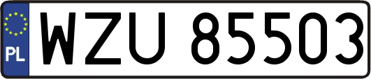 WZU85503