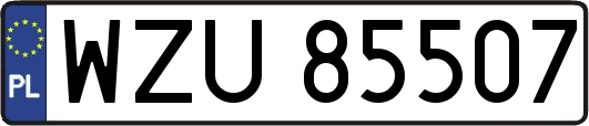 WZU85507