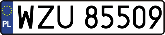 WZU85509