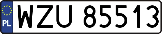 WZU85513