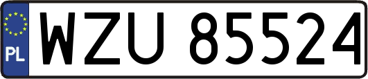 WZU85524