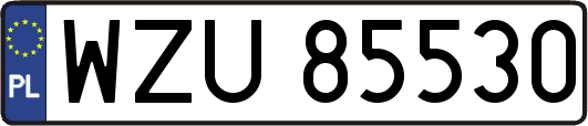 WZU85530