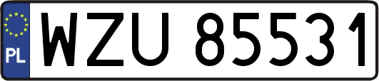 WZU85531