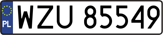 WZU85549